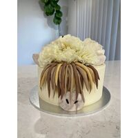 12th Aug Highland Cow Cake Decorating Class