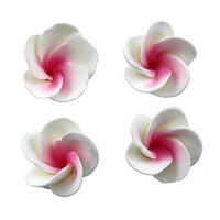 Edible Frangipani Sugar Decorations Pink- 6 Pieces